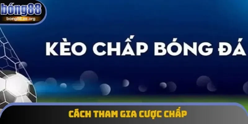 Trong cược chấp, trọng tâm chính là các con số tỷ lệ kèo